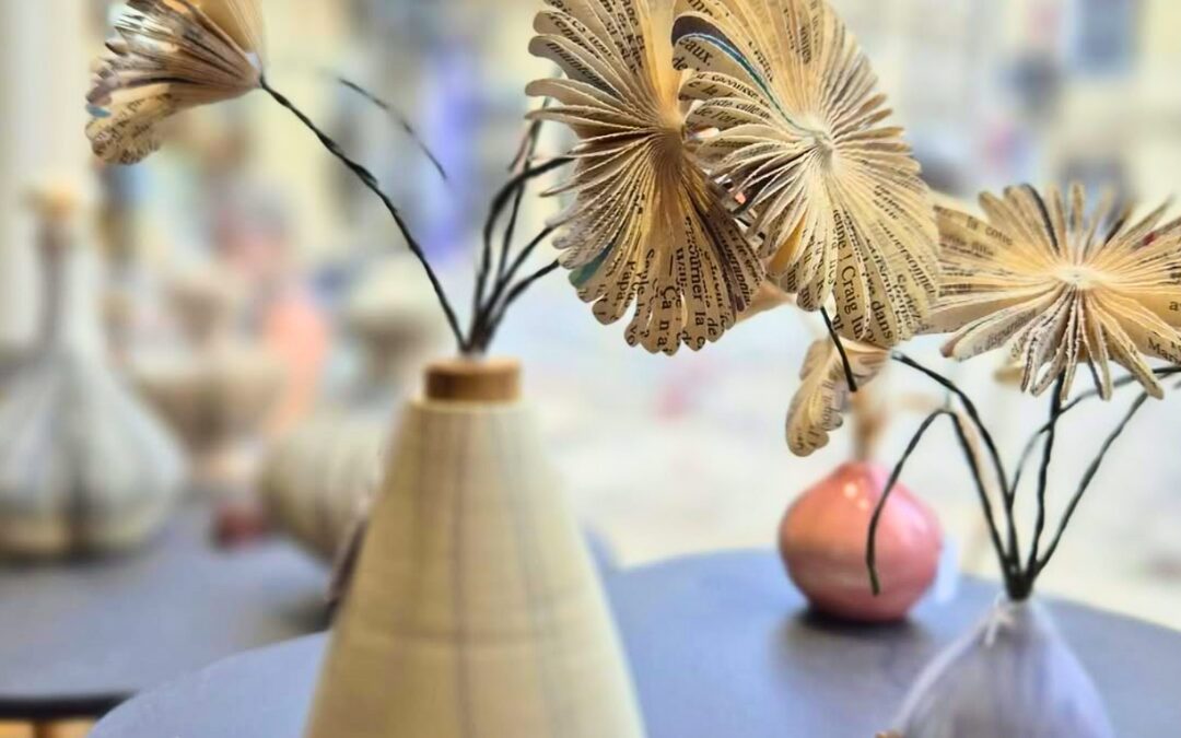 Idée cadeau livres Reims Louve