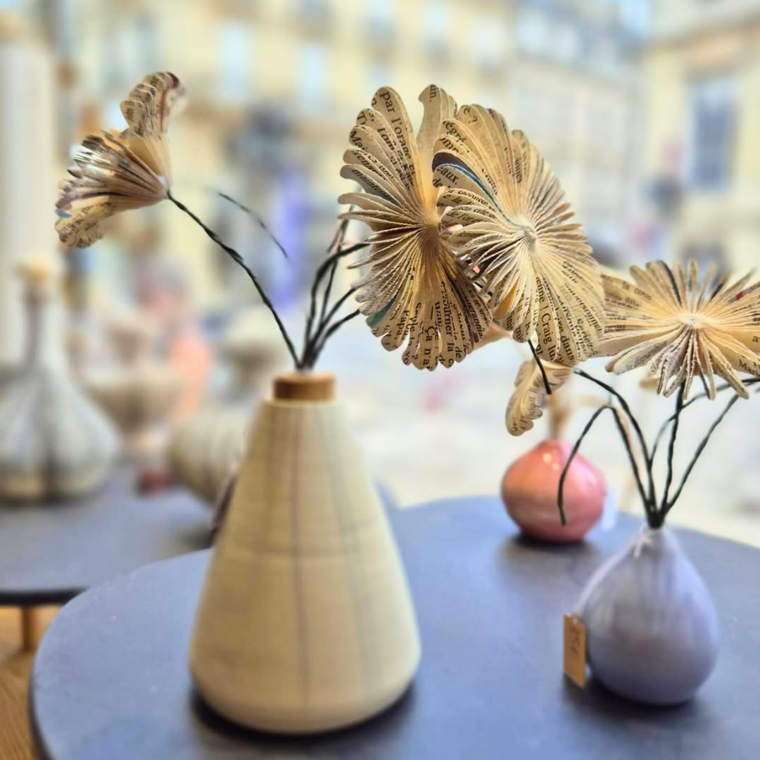 Idée cadeau livres Reims Louve