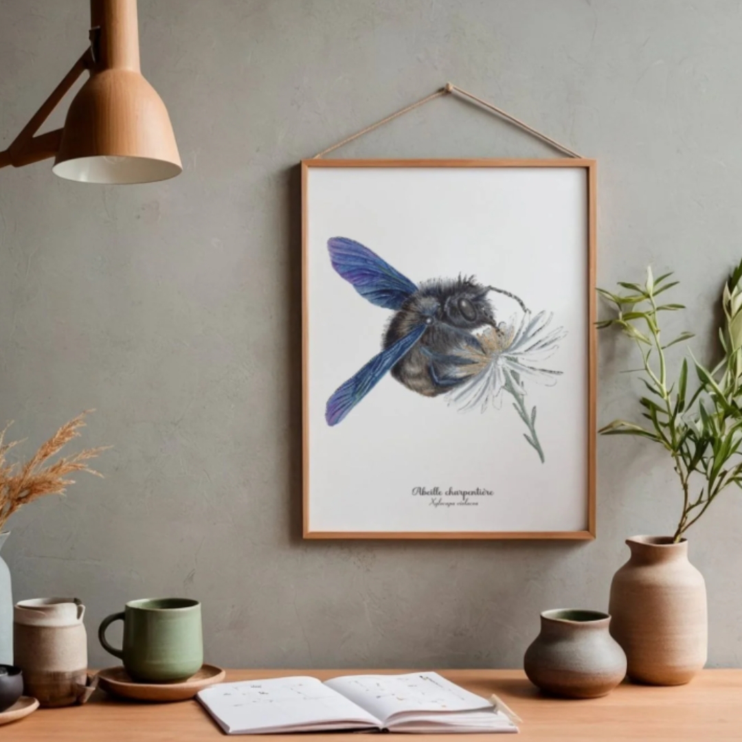 Affiche insecte illustration dessin Reims