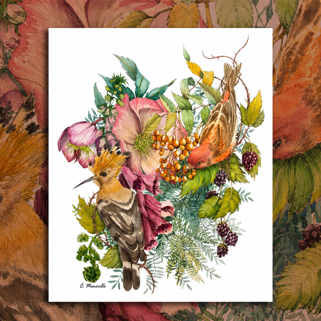 Illustration création aquarelle cadeau Reims